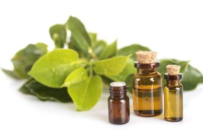 huile essentielle ravintsara Retour d’expérience sur l’utilisation de l’aromathérapie en complément de l’allopathie dans un établissement de santé mentale.